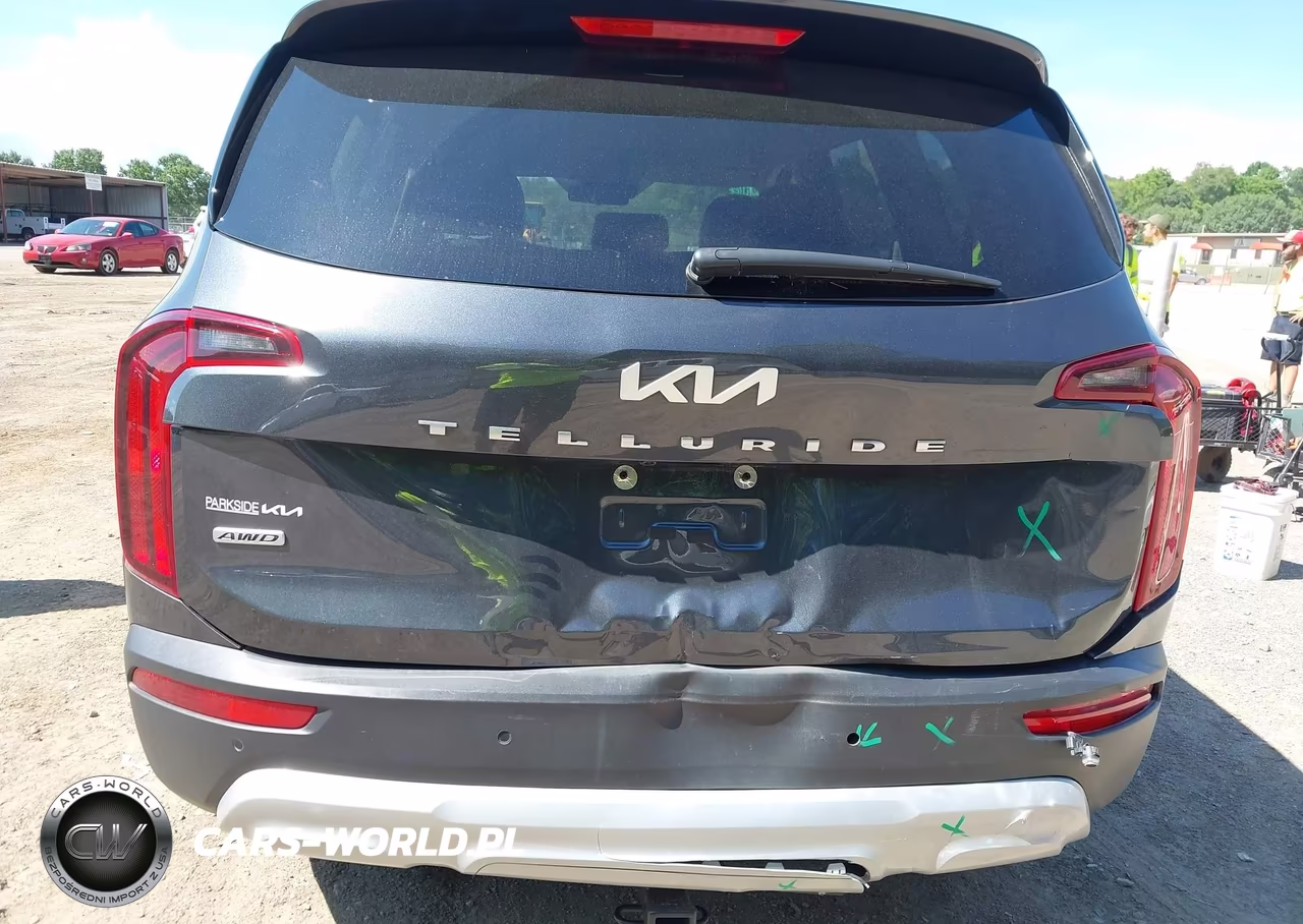 2022 Kia Telluride Lx VIN:5XYP2DHC0NG297917 - 6