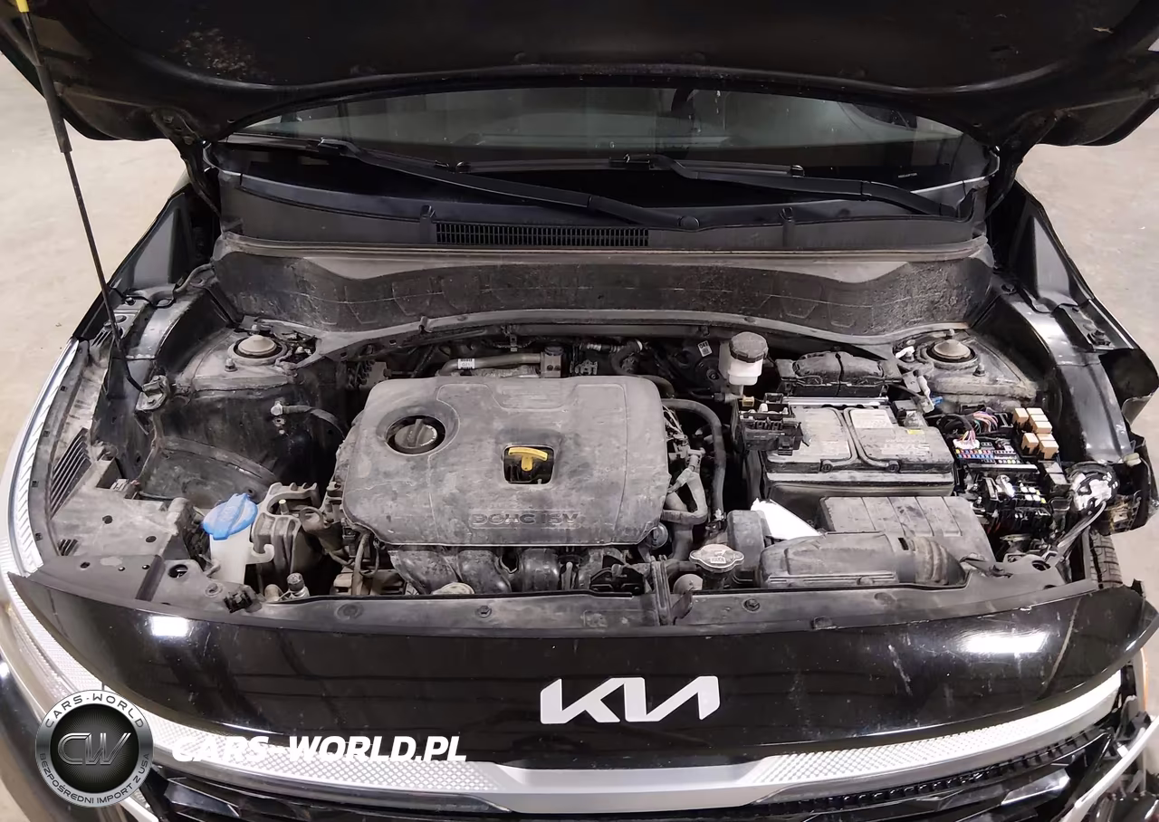 2023 Kia Seltos Ex VIN:KNDERCAAXP7352685 - 10