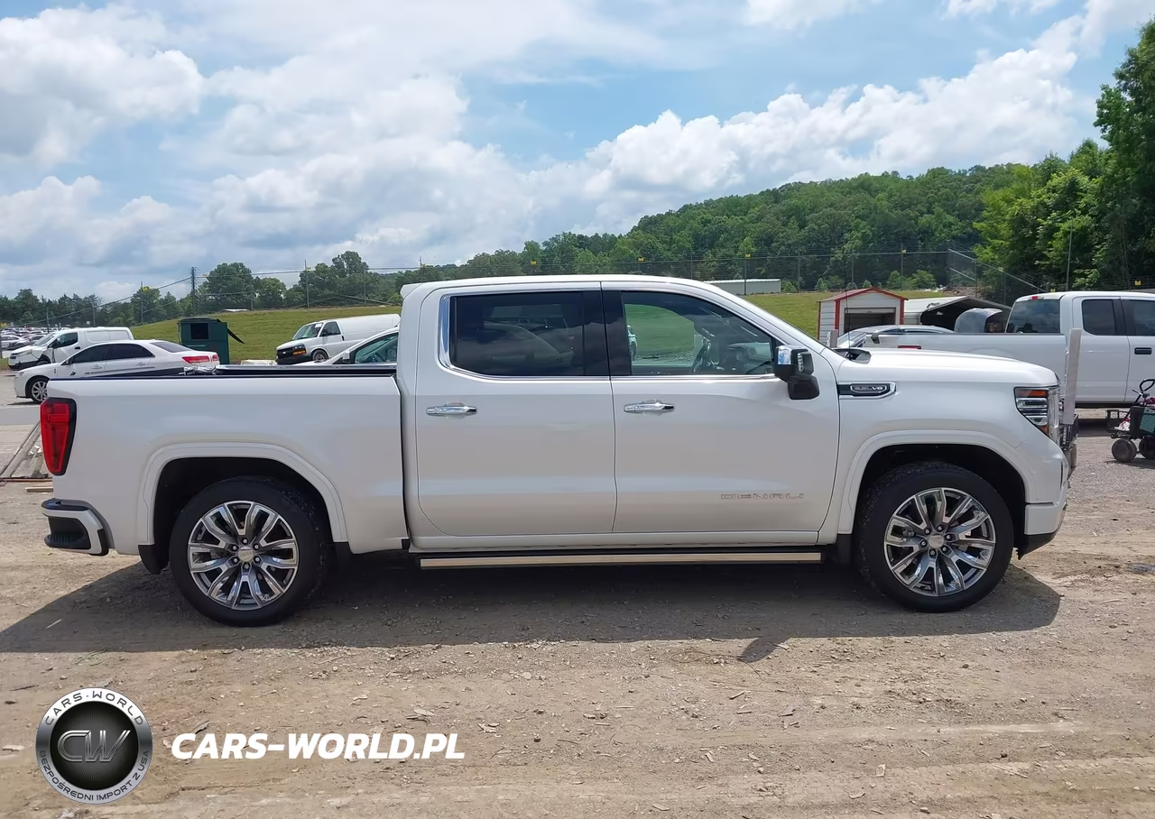 2022 GMC Sierra 1500 4Wd Short Box Denali VIN:3GTUUGED4NG679087 - 13