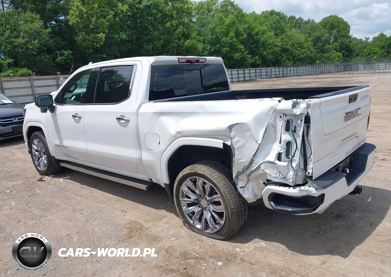 2022 GMC Sierra 1500 4Wd Short Box Denali VIN:3GTUUGED4NG679087 - 3