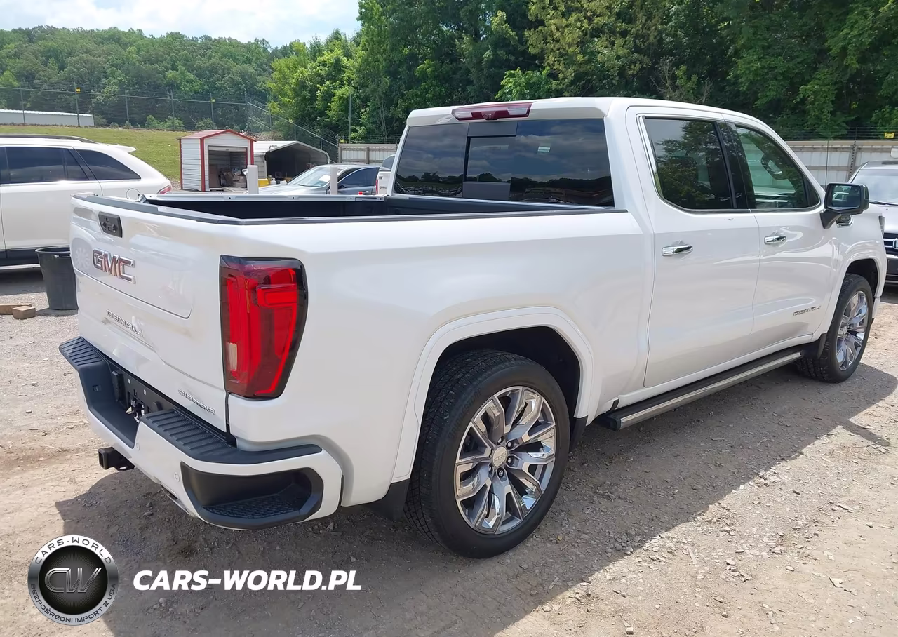 2022 GMC Sierra 1500 4Wd Short Box Denali VIN:3GTUUGED4NG679087 - 4