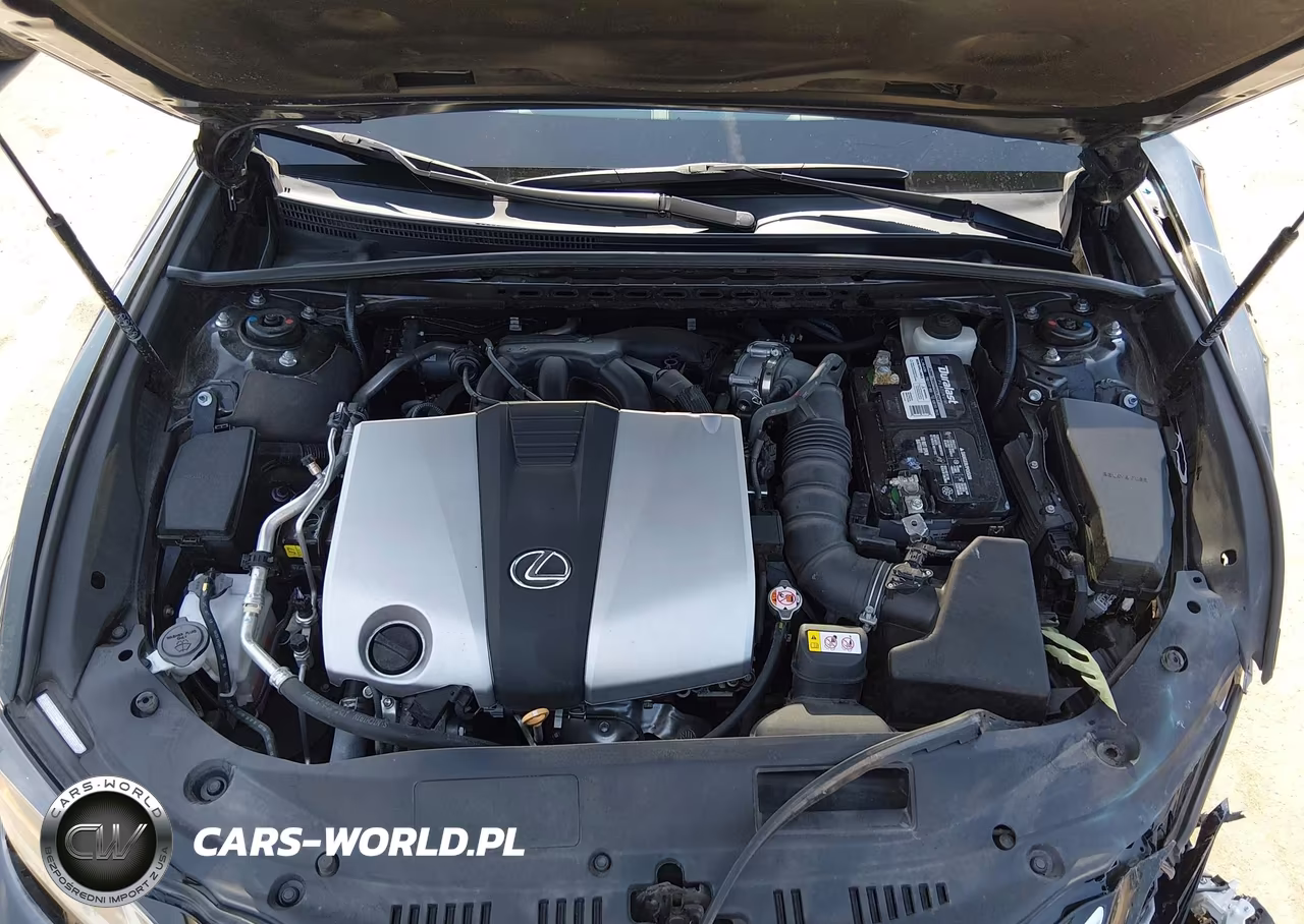 2019 Lexus Es 350 Ultra Luxury VIN:58ABZ1B19KU029863 - 10