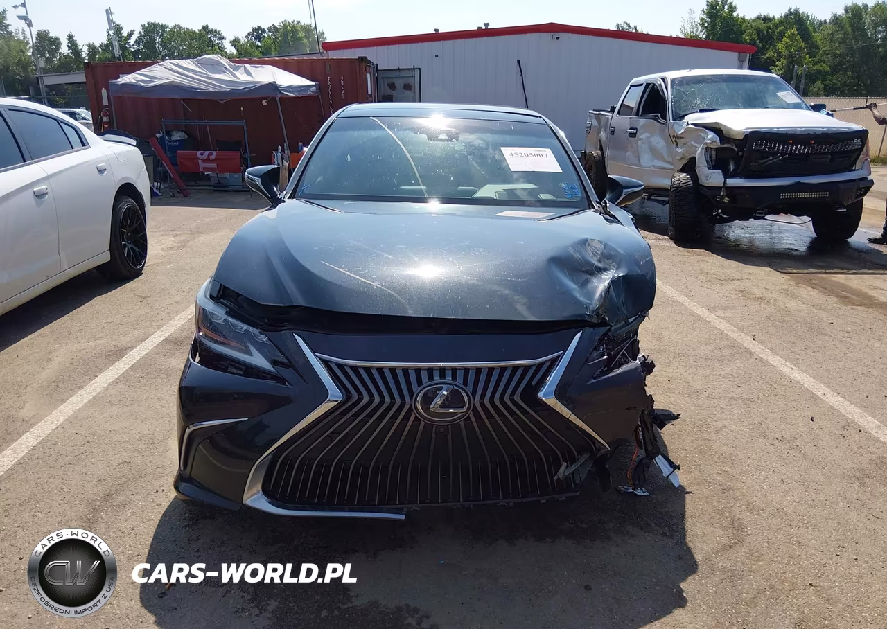 2019 Lexus Es 350 Ultra Luxury VIN:58ABZ1B19KU029863 - 12