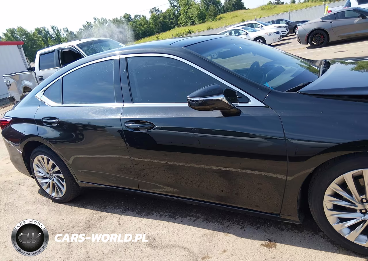 2019 Lexus Es 350 Ultra Luxury VIN:58ABZ1B19KU029863 - 13