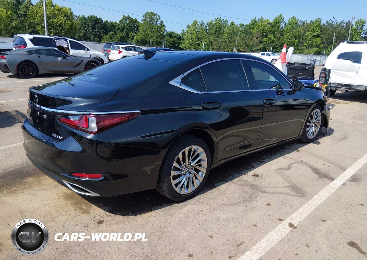 2019 Lexus Es 350 Ultra Luxury VIN:58ABZ1B19KU029863 - 4