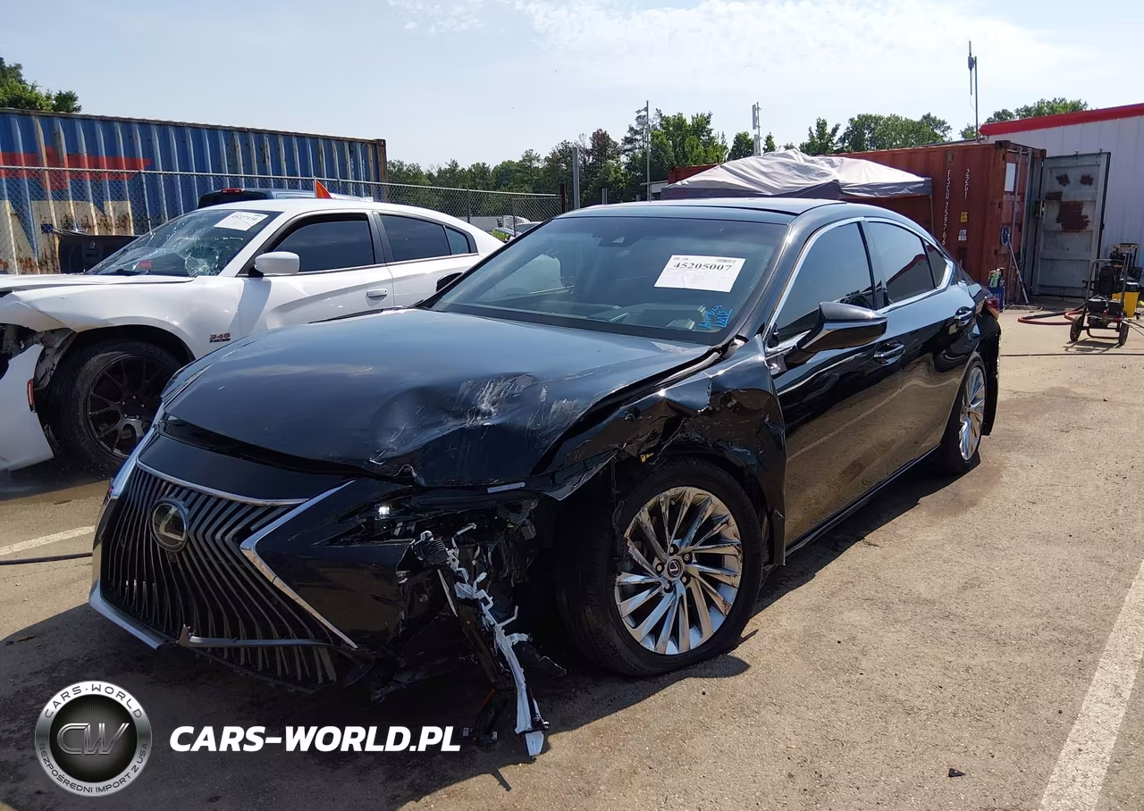 2019 Lexus Es 350 Ultra Luxury VIN:58ABZ1B19KU029863 - 6