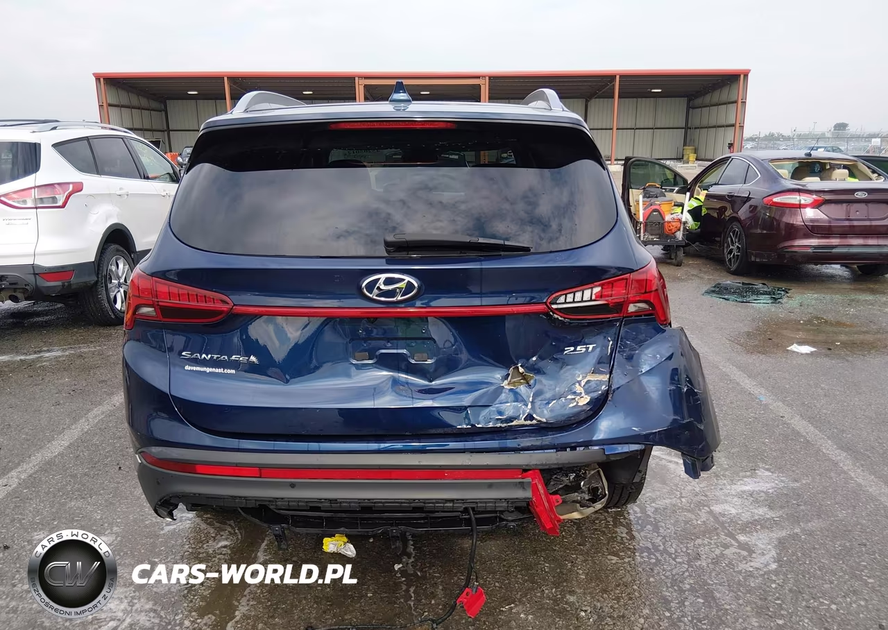 2022 Hyundai Santa Fe Limited VIN:5NMS44AL2NH462418 - 6