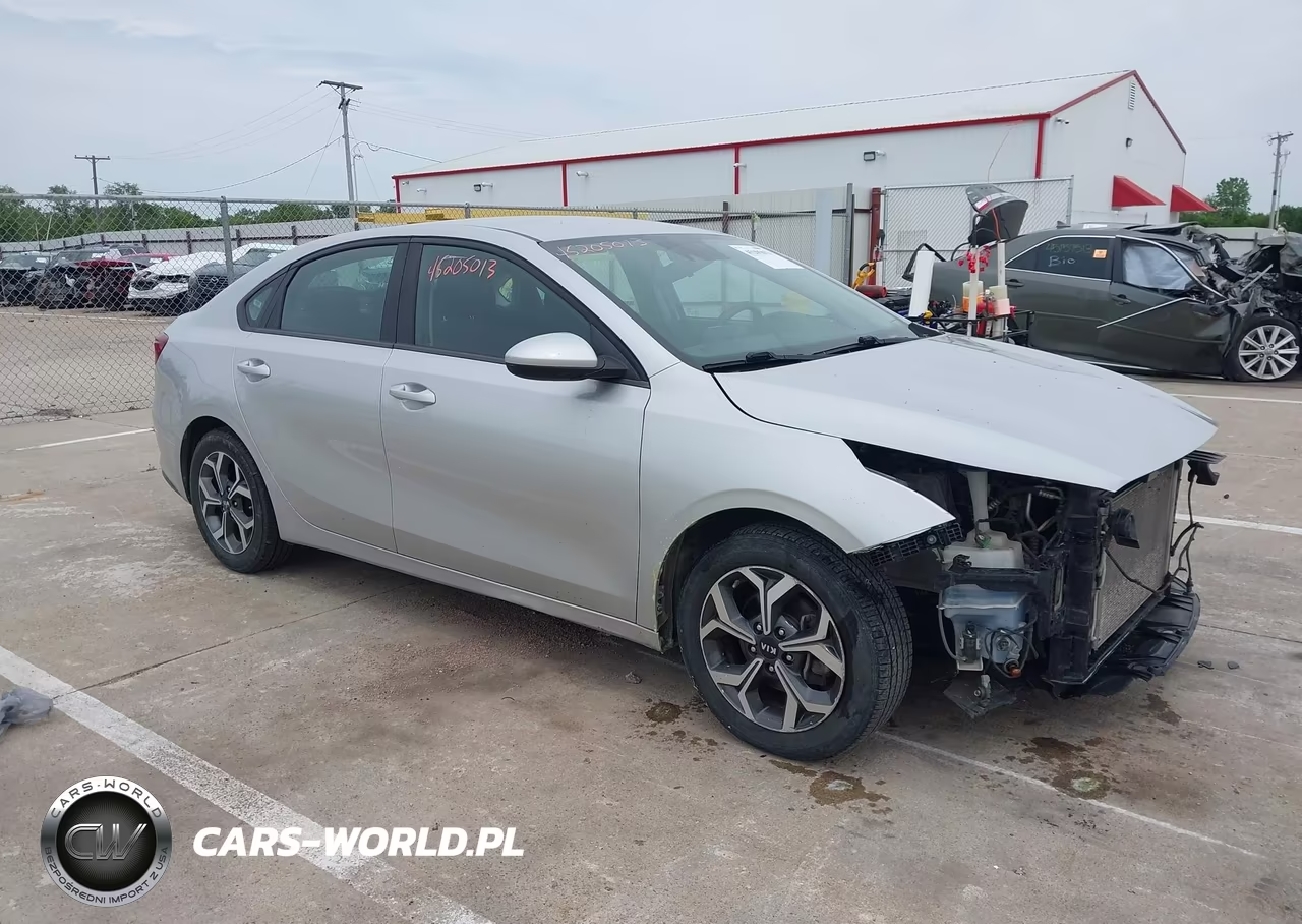 2019 Kia Forte Lxs