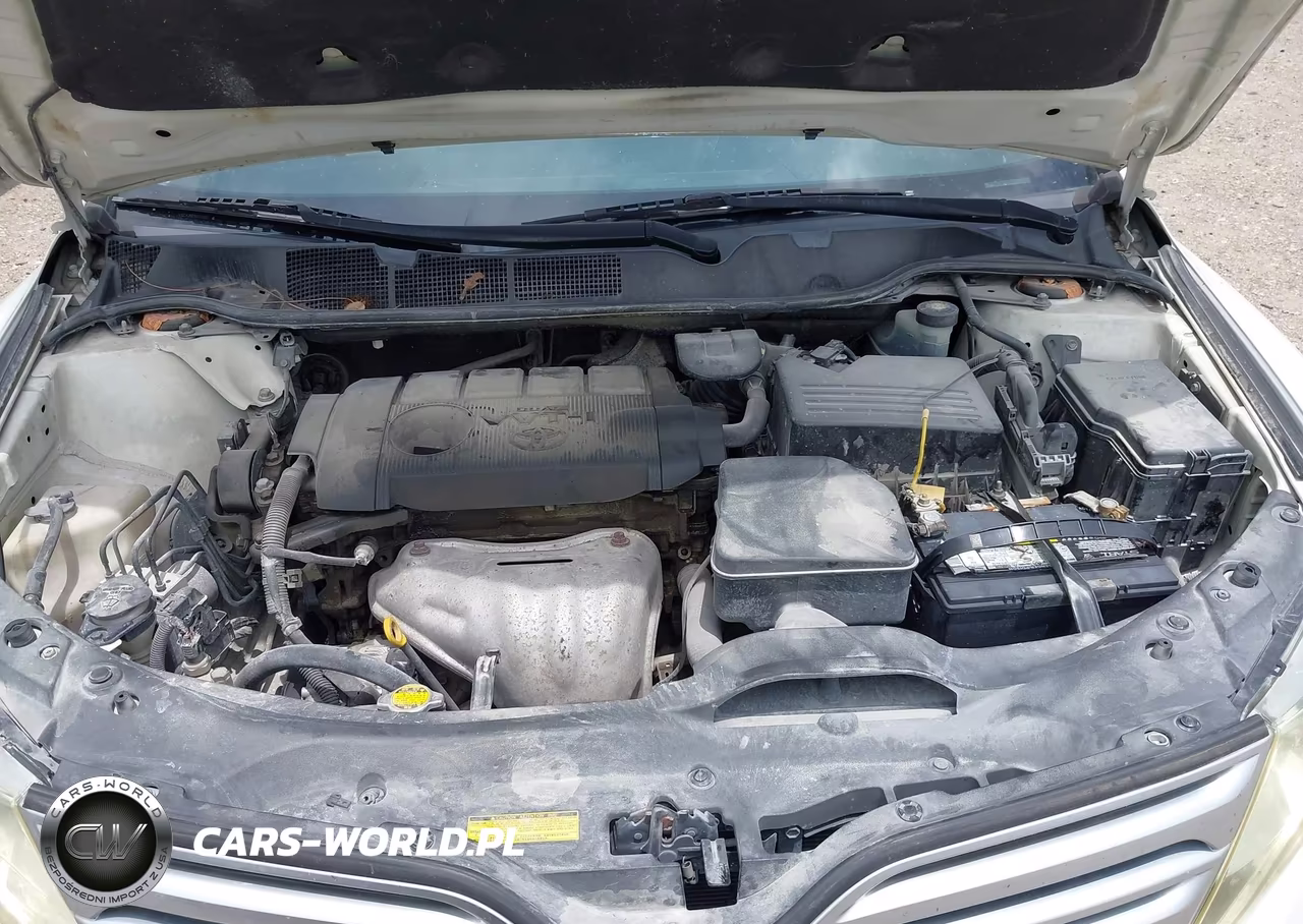 2011 Toyota Venza VIN:4T3ZA3BB9BU039883 - 10