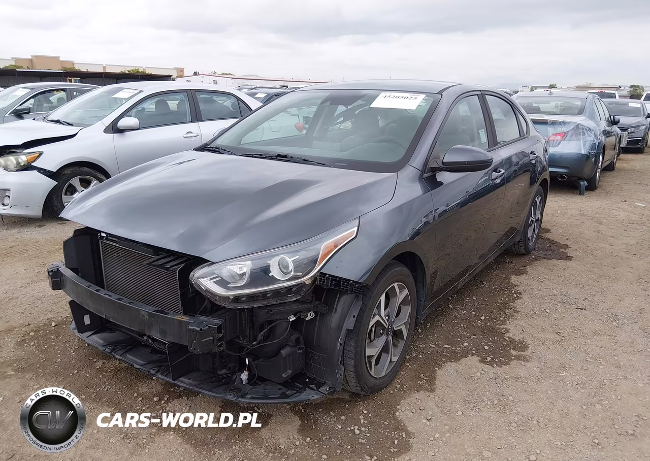 2019 Kia Forte Lxs VIN:3KPF24AD7KE109465 - 2