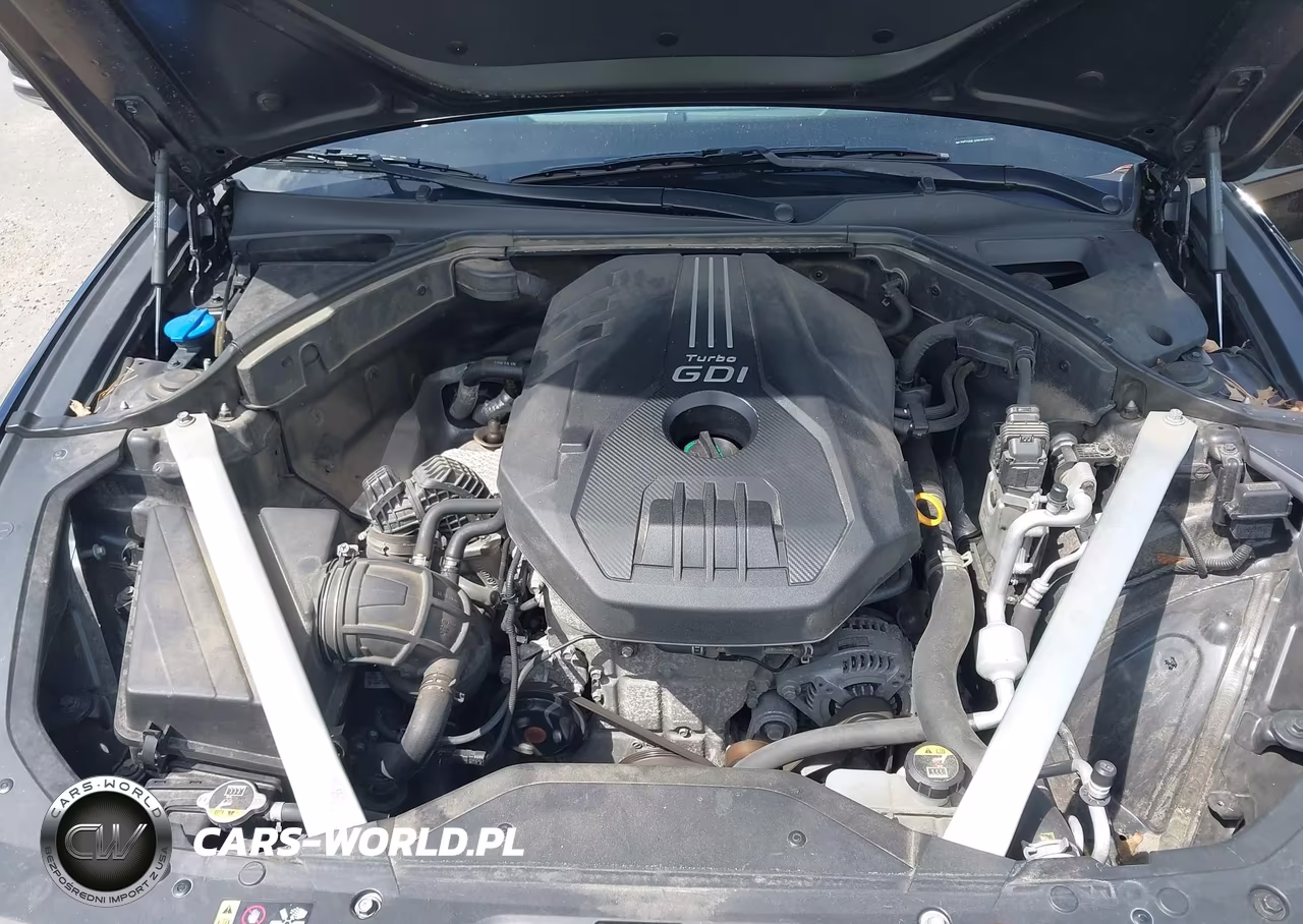 2019 Genesis G70 VIN:KMTG44LA6KU018126 - 10