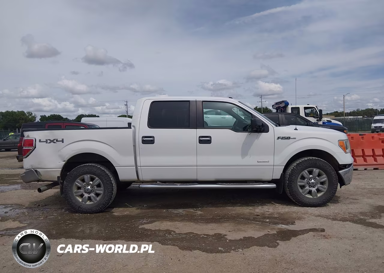 2011 Ford F-150 Xlt VIN:1FTFW1ET4BKD37795 - 13