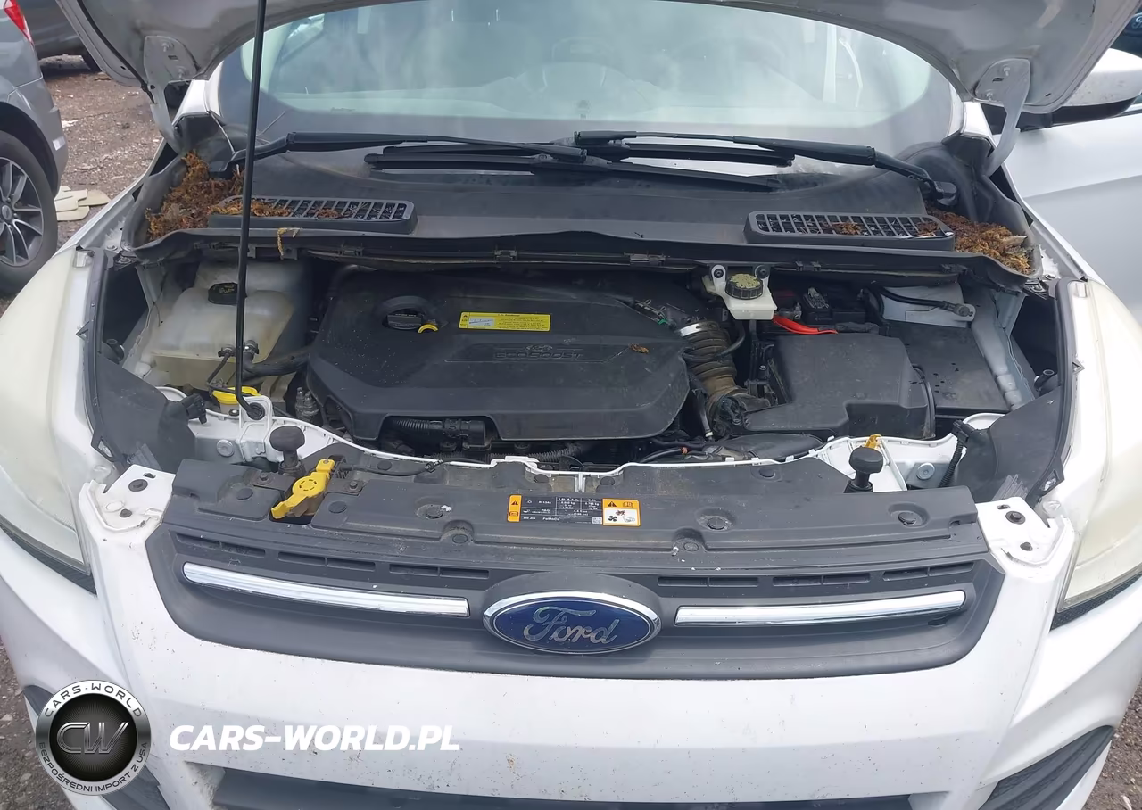 2014 Ford Escape Se VIN:1FMCU0GX3EUD06075 - 10