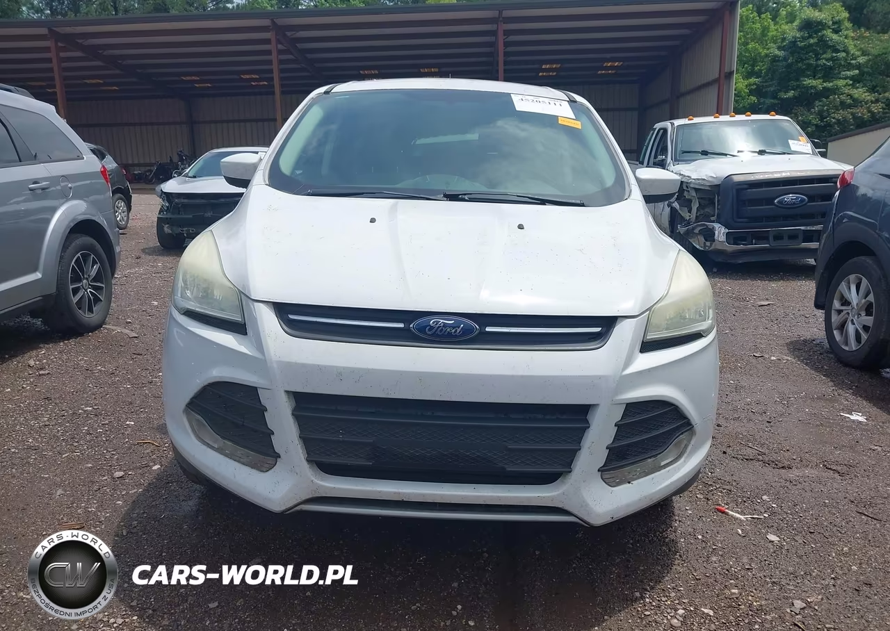 2014 Ford Escape Se VIN:1FMCU0GX3EUD06075 - 12
