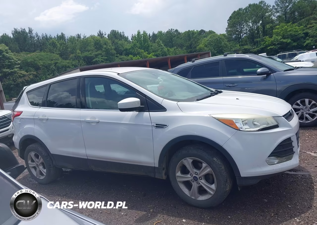 2014 Ford Escape Se VIN:1FMCU0GX3EUD06075 - 13