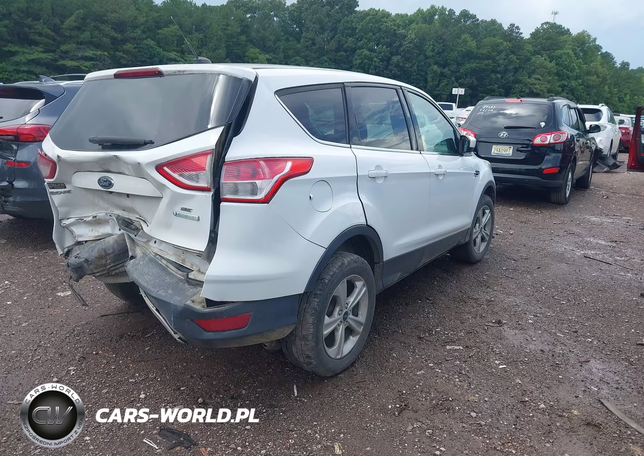 2014 Ford Escape Se VIN:1FMCU0GX3EUD06075 - 4
