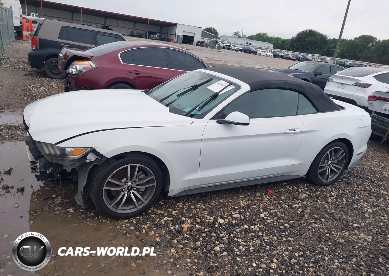 2015 Ford Mustang Ecoboost Premium VIN:1FATP8UH0F5352729 - 15