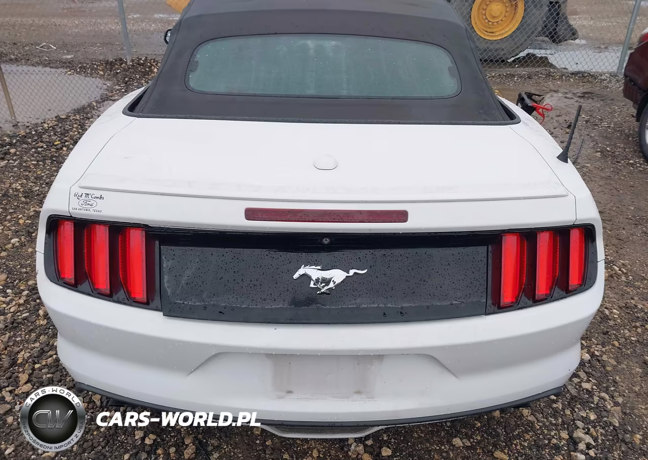 2015 Ford Mustang Ecoboost Premium VIN:1FATP8UH0F5352729 - 17