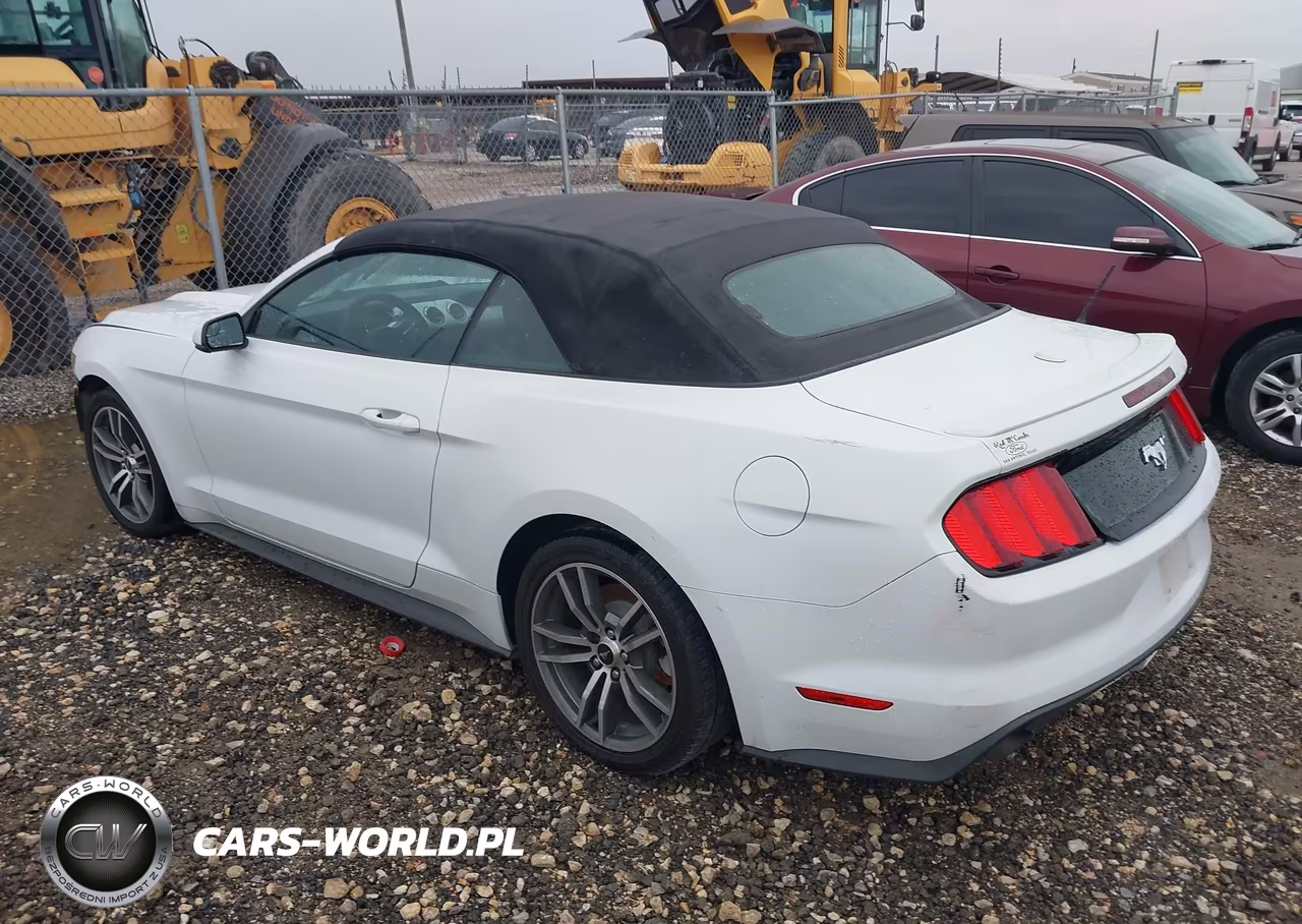 2015 Ford Mustang Ecoboost Premium VIN:1FATP8UH0F5352729 - 3