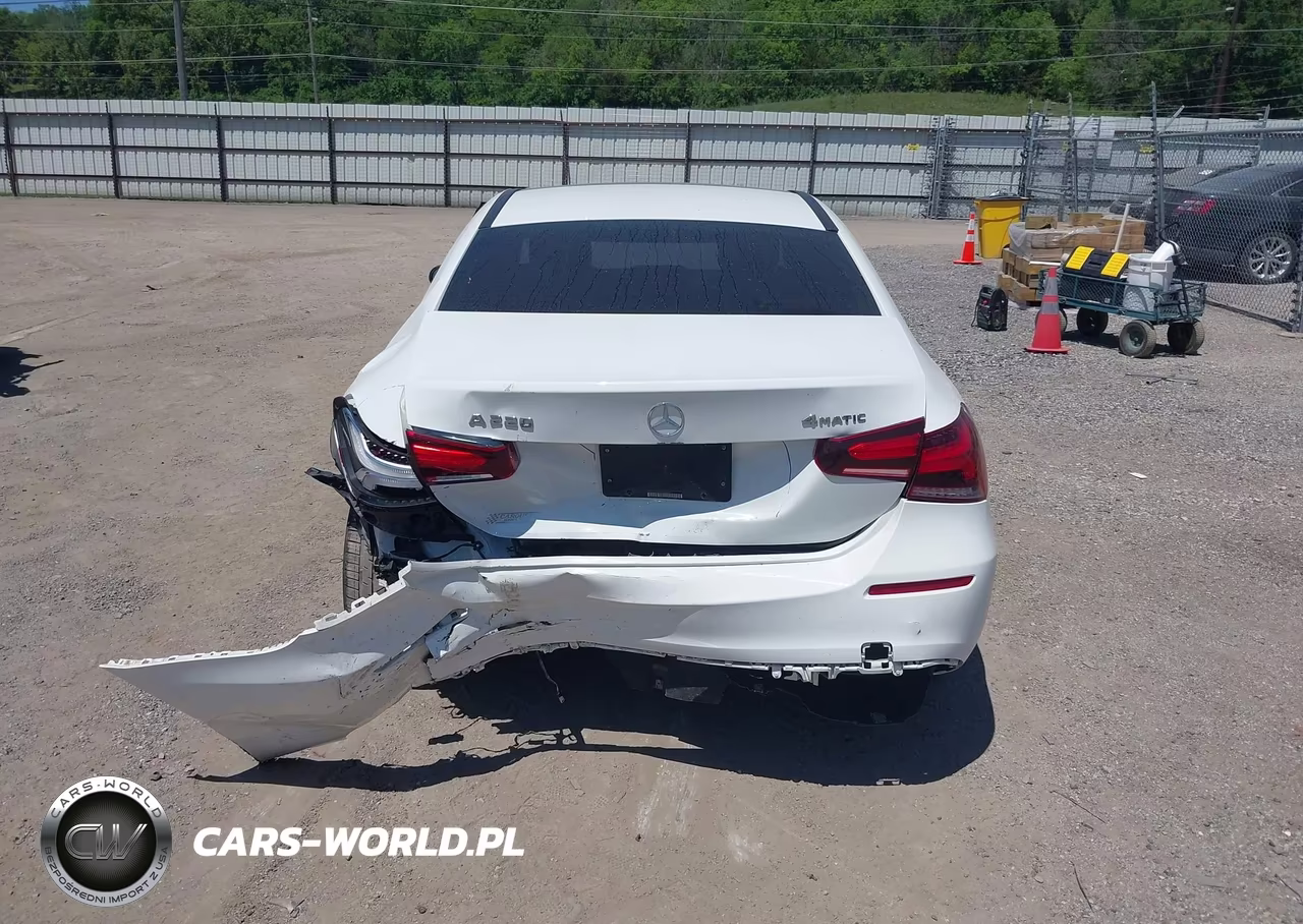 2019 Mercedes-Benz A 220 4Matic VIN:WDD3G4FB6KW026441 - 17