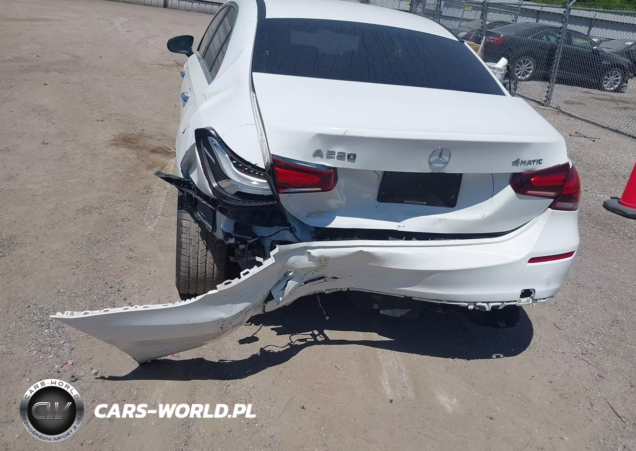 2019 Mercedes-Benz A 220 4Matic VIN:WDD3G4FB6KW026441 - 18