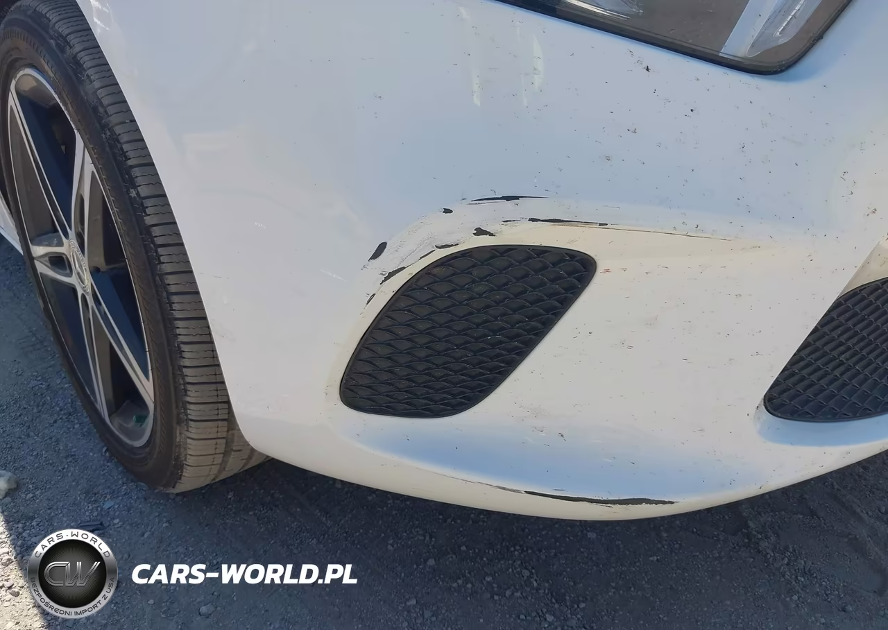 2019 Mercedes-Benz A 220 4Matic VIN:WDD3G4FB6KW026441 - 22