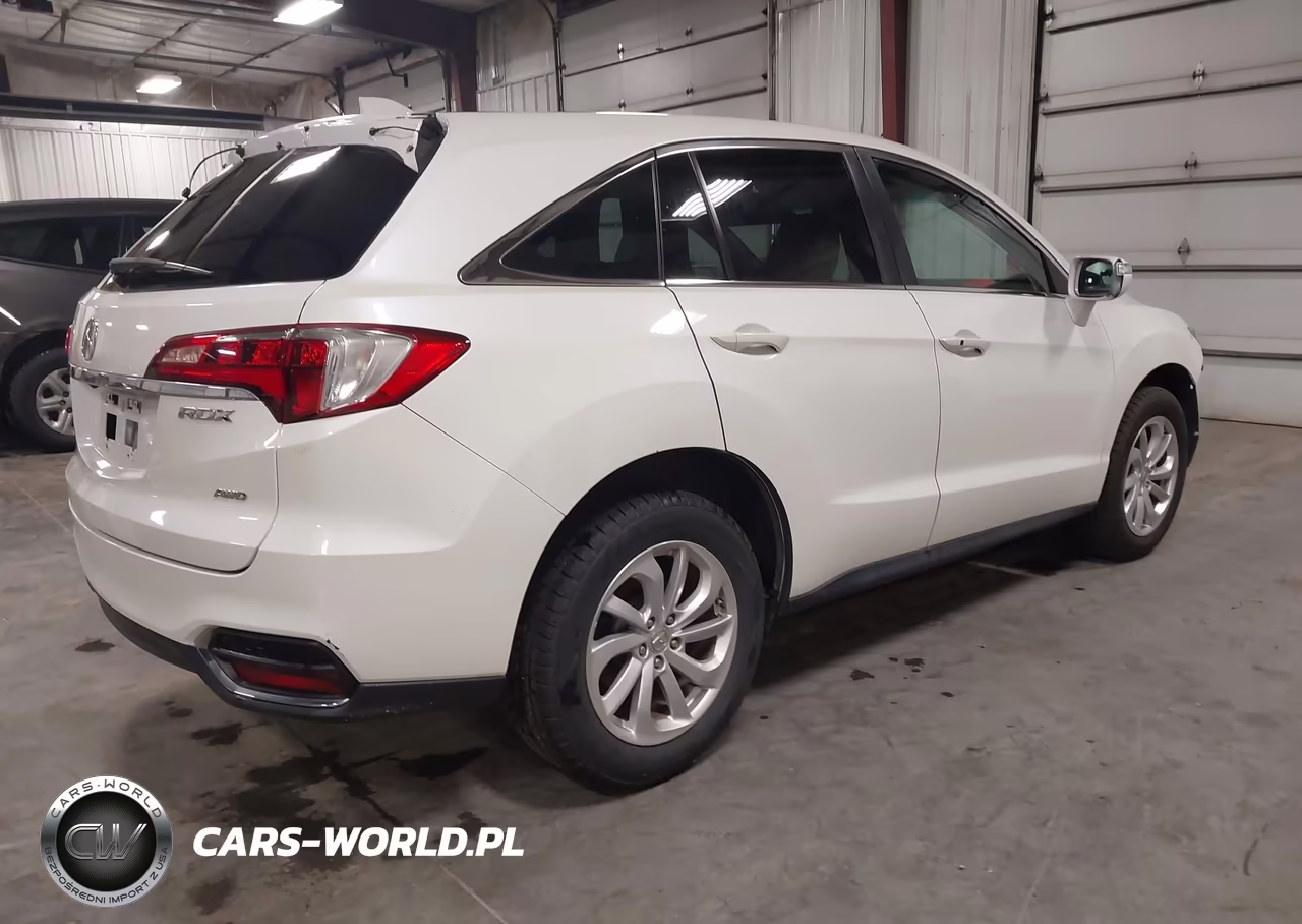 2017 Acura Rdx Acurawatch Plus Package VIN:5J8TB4H38HL020294 - 4