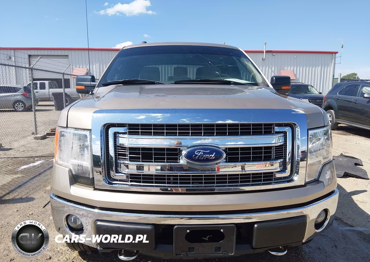 2013 Ford F-150 Xlt VIN:1FTFW1EF5DFC07000 - 12