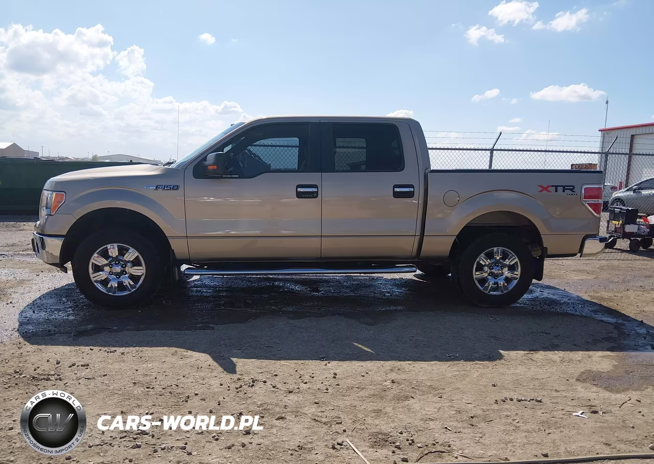 2013 Ford F-150 Xlt VIN:1FTFW1EF5DFC07000 - 14