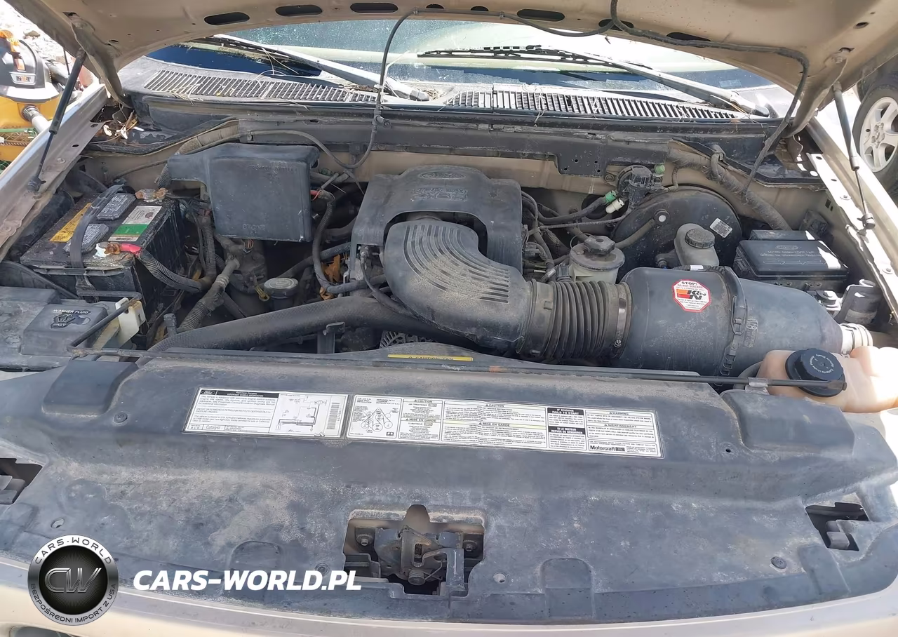 1998 Ford F-150 Lariat-Standard-Xl-Xlt VIN:1FTZX17W9WKB95337 - 10