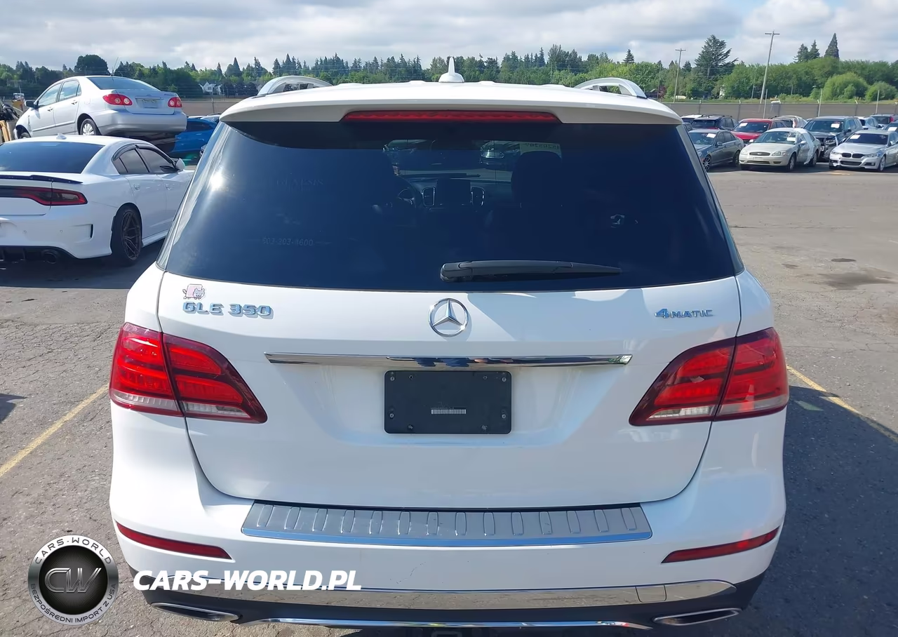 2017 Mercedes-Benz Gle 350 4Matic VIN:4JGDA5HB3HA822648 - 16