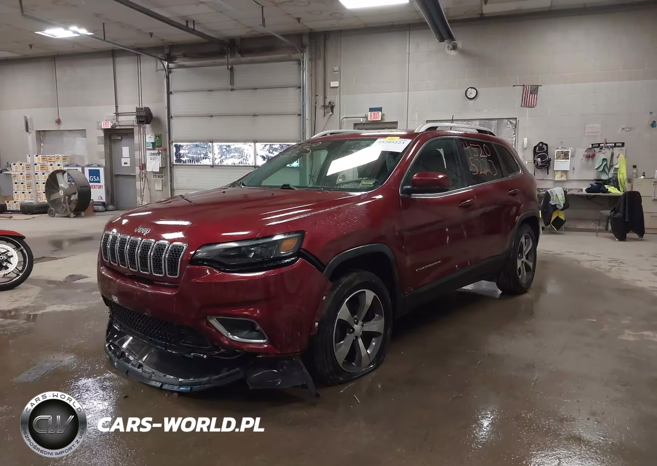 2019 Jeep Cherokee Limited 4X4 VIN:1C4PJMDX9KD124659 - 2