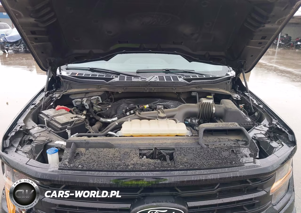 2024 Ford F-150 Xlt VIN:1FTEW3KP8RKE00809 - 10