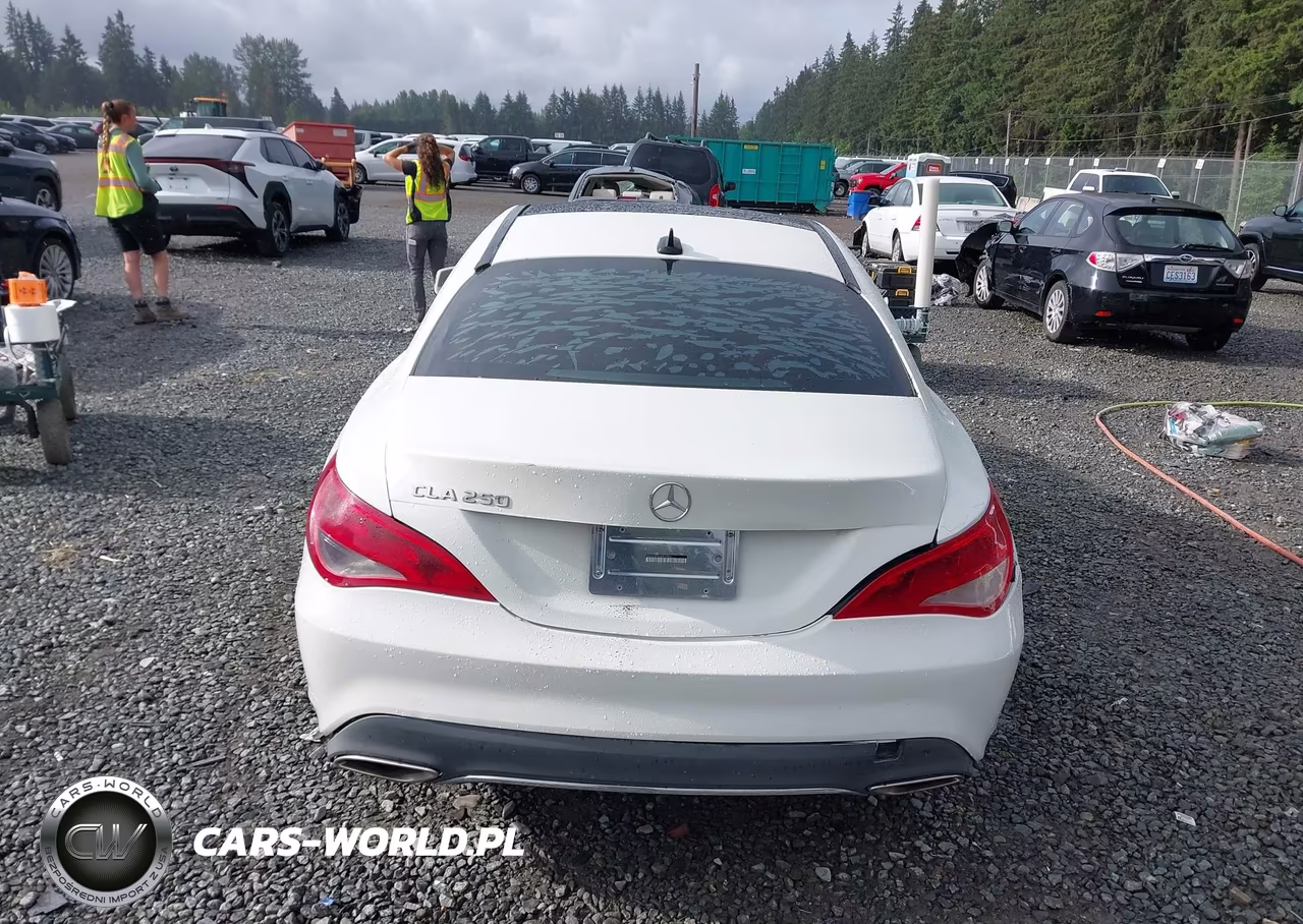 2018 Mercedes-Benz Cla 250 VIN:WDDSJ4EB3JN514961 - 16
