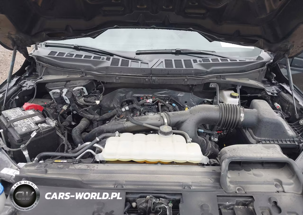 2025 Ford F-150 Stx VIN:1FTEW2KP7SKE86095 - 10