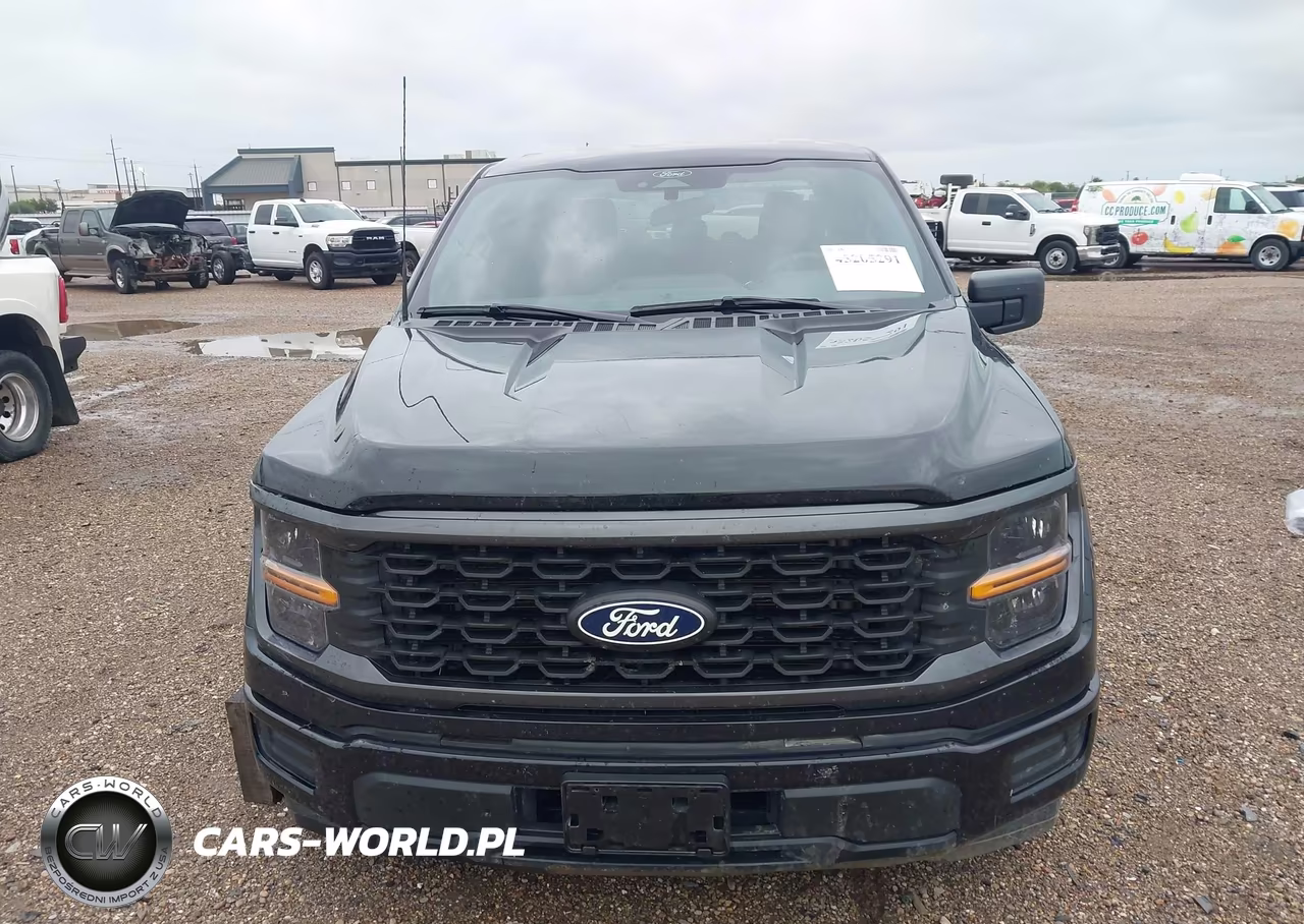 2025 Ford F-150 Stx VIN:1FTEW2KP7SKE86095 - 12