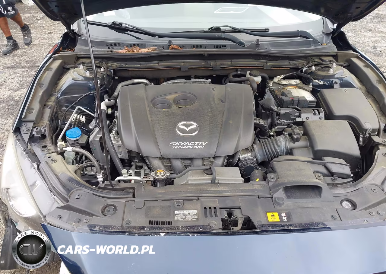 2016 Mazda Mazda3 I Sport VIN:JM1BM1T78G1354140 - 10