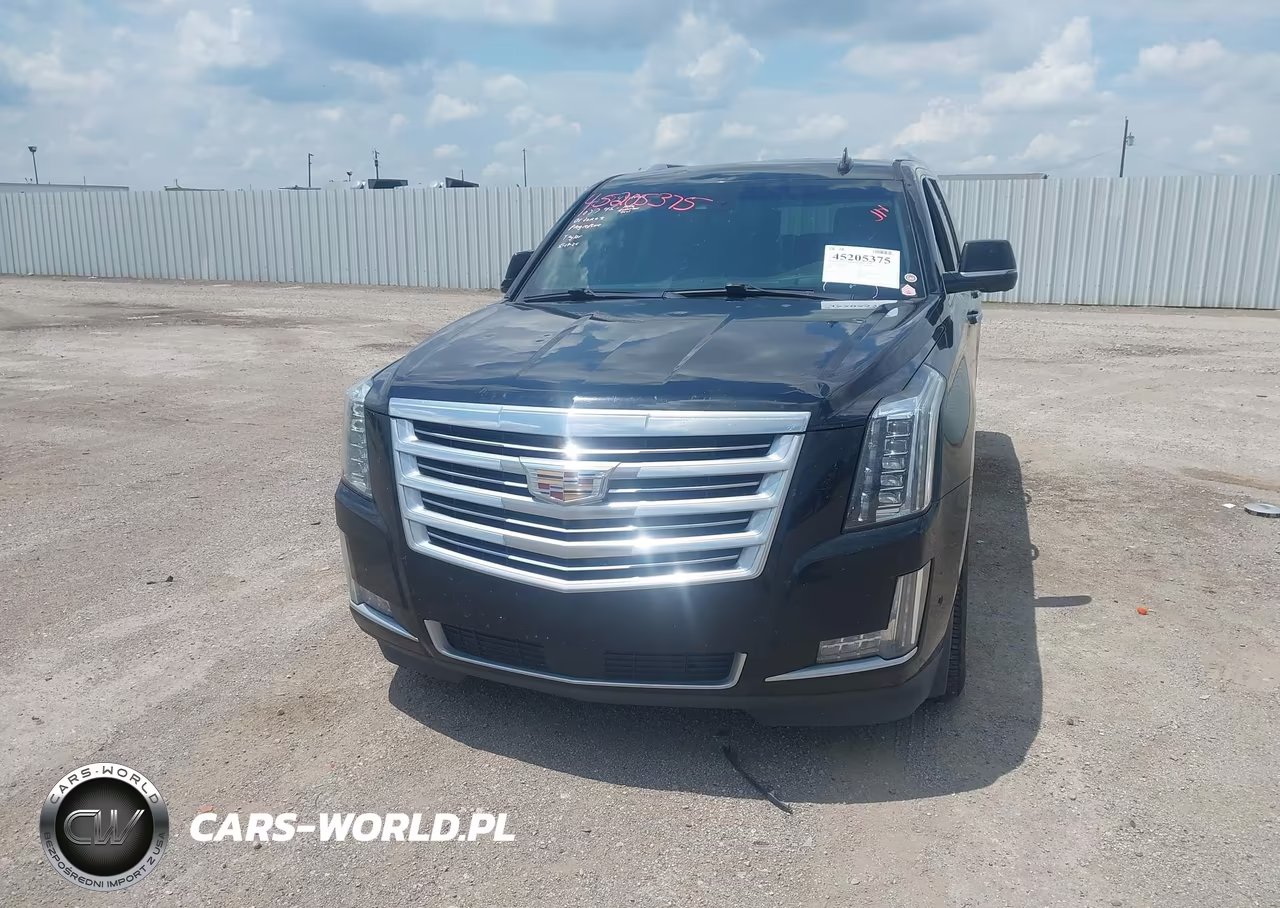 2018 Cadillac Escalade Esv Platinum VIN:1GYS4KKJ0JR267354 - 12
