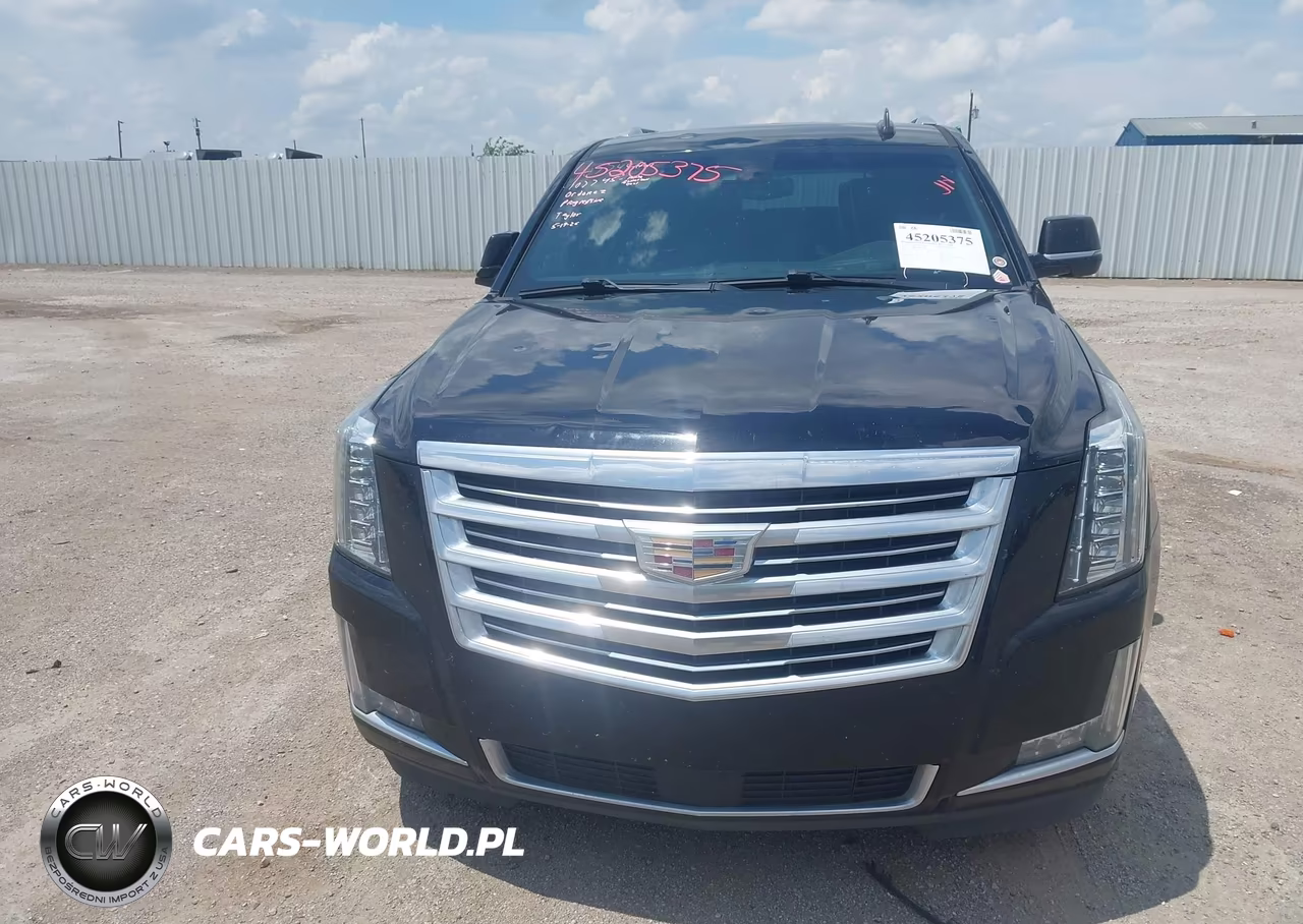 2018 Cadillac Escalade Esv Platinum VIN:1GYS4KKJ0JR267354 - 6
