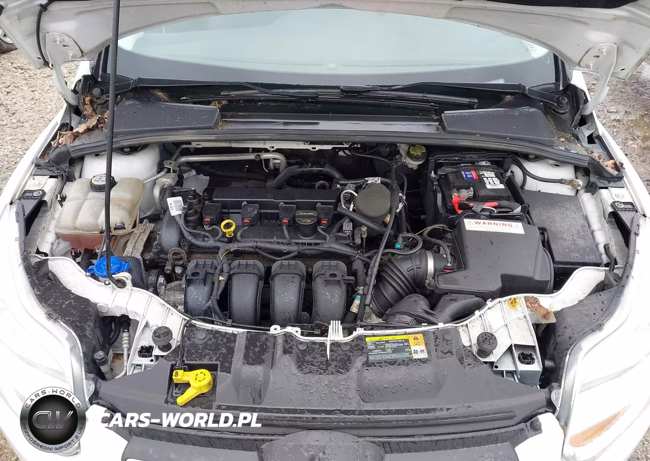 2013 Ford Focus Se VIN:1FADP3F27DL242172 - 10