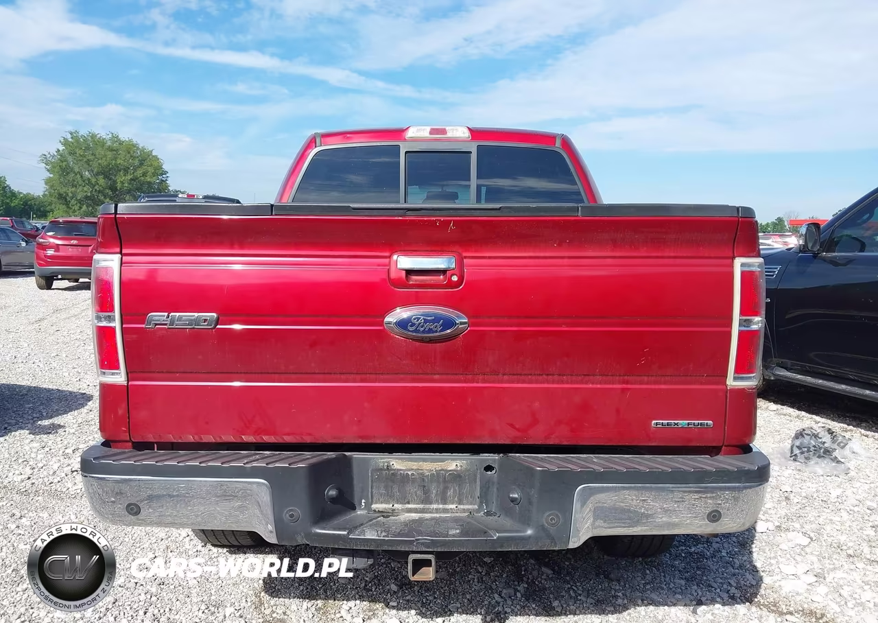 2014 Ford F-150 Lariat VIN:1FTFW1EF3EFC02900 - 17