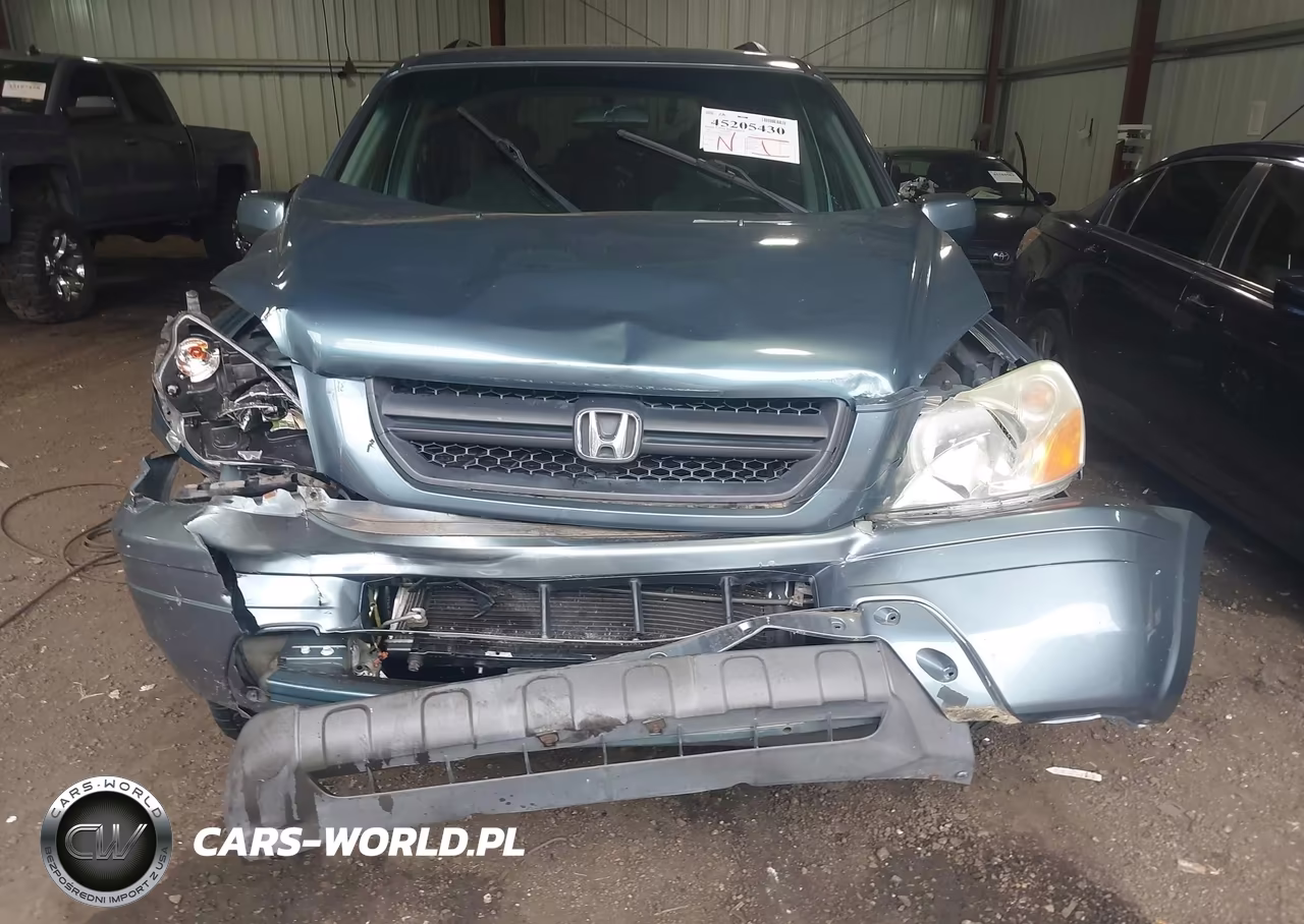 2005 Honda Pilot Ex VIN:2HKYF18465H510880 - 12