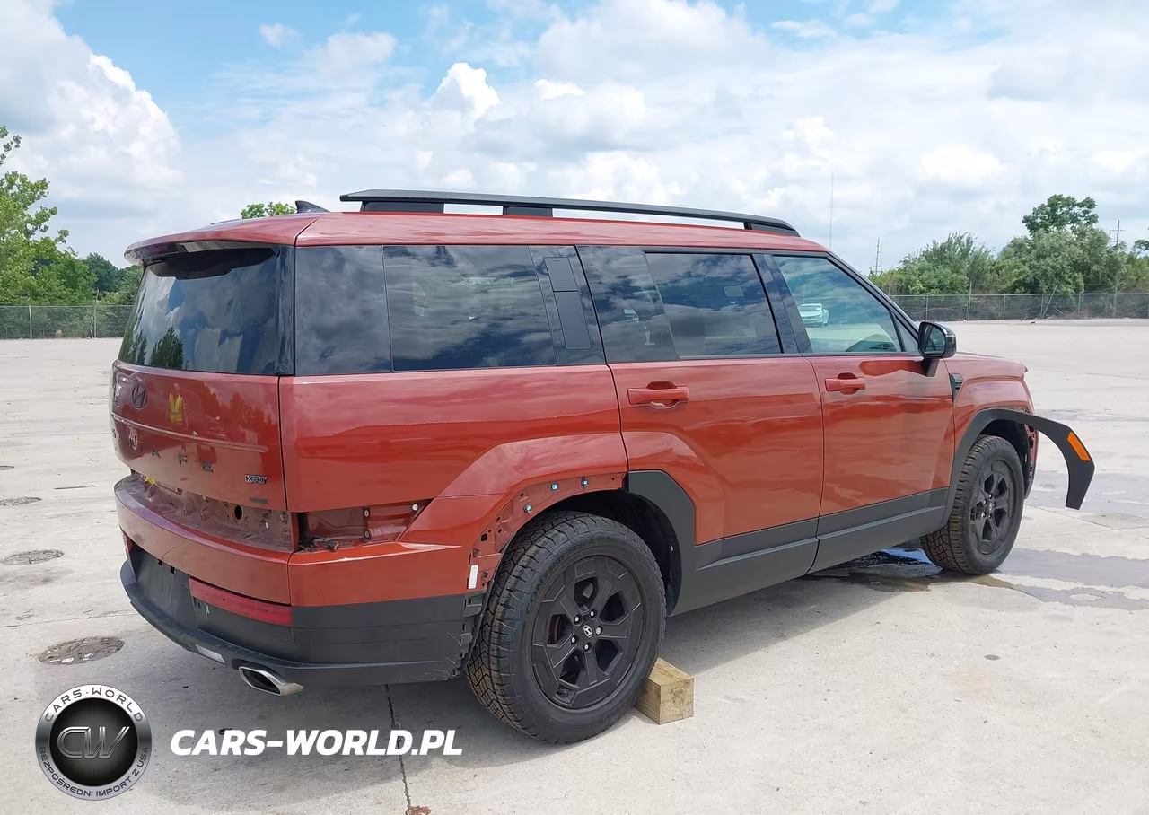 2024 Hyundai Santa Fe Xrt VIN:5NMP3DGL8RH048453 - 4