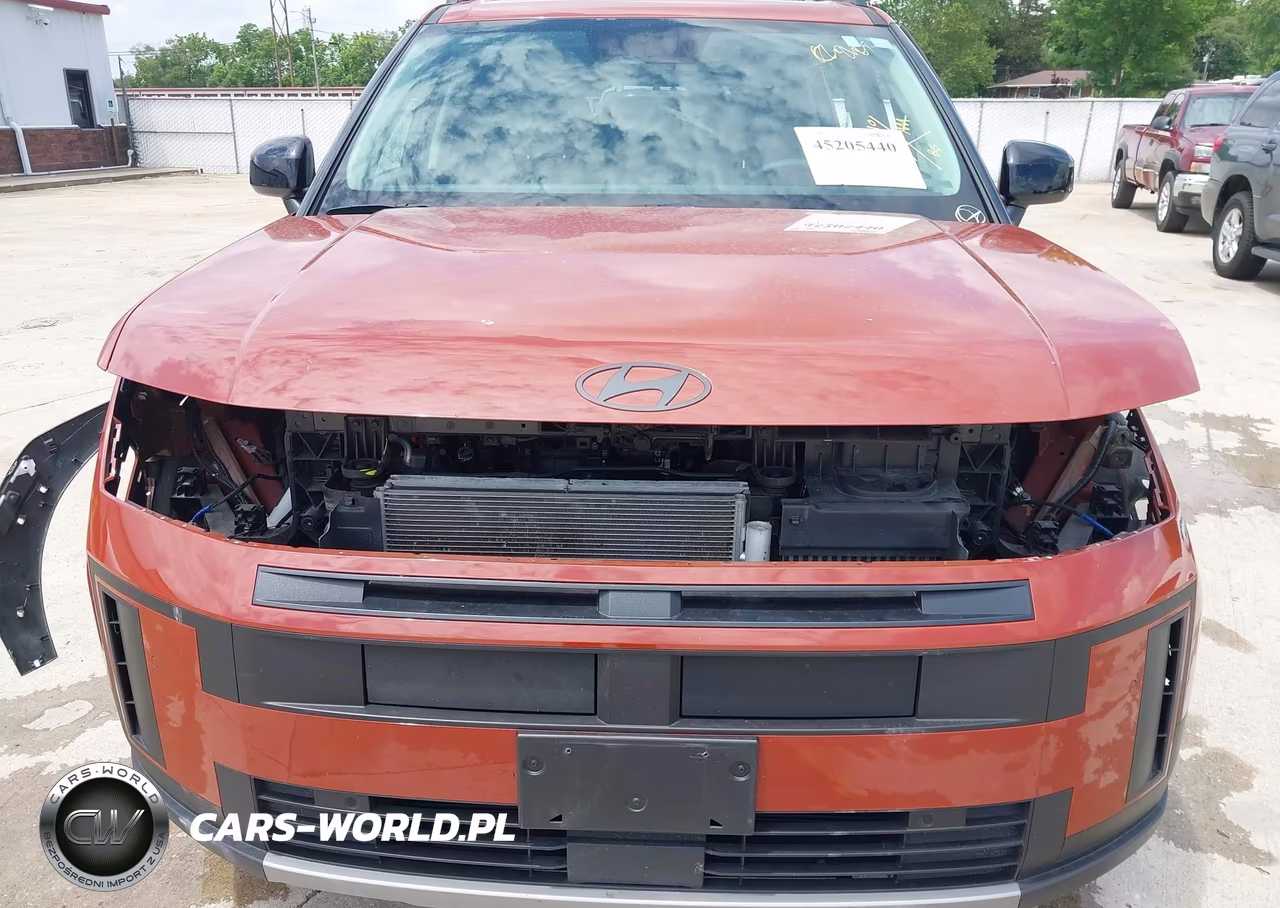 2024 Hyundai Santa Fe Xrt VIN:5NMP3DGL8RH048453 - 6