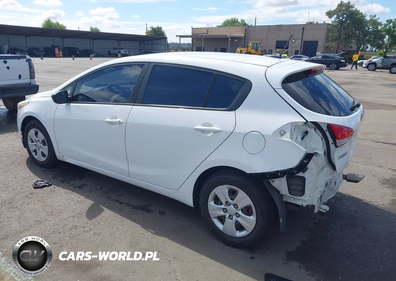 2017 Kia Forte Lx VIN:KNAFK5A88H5678562 - 3