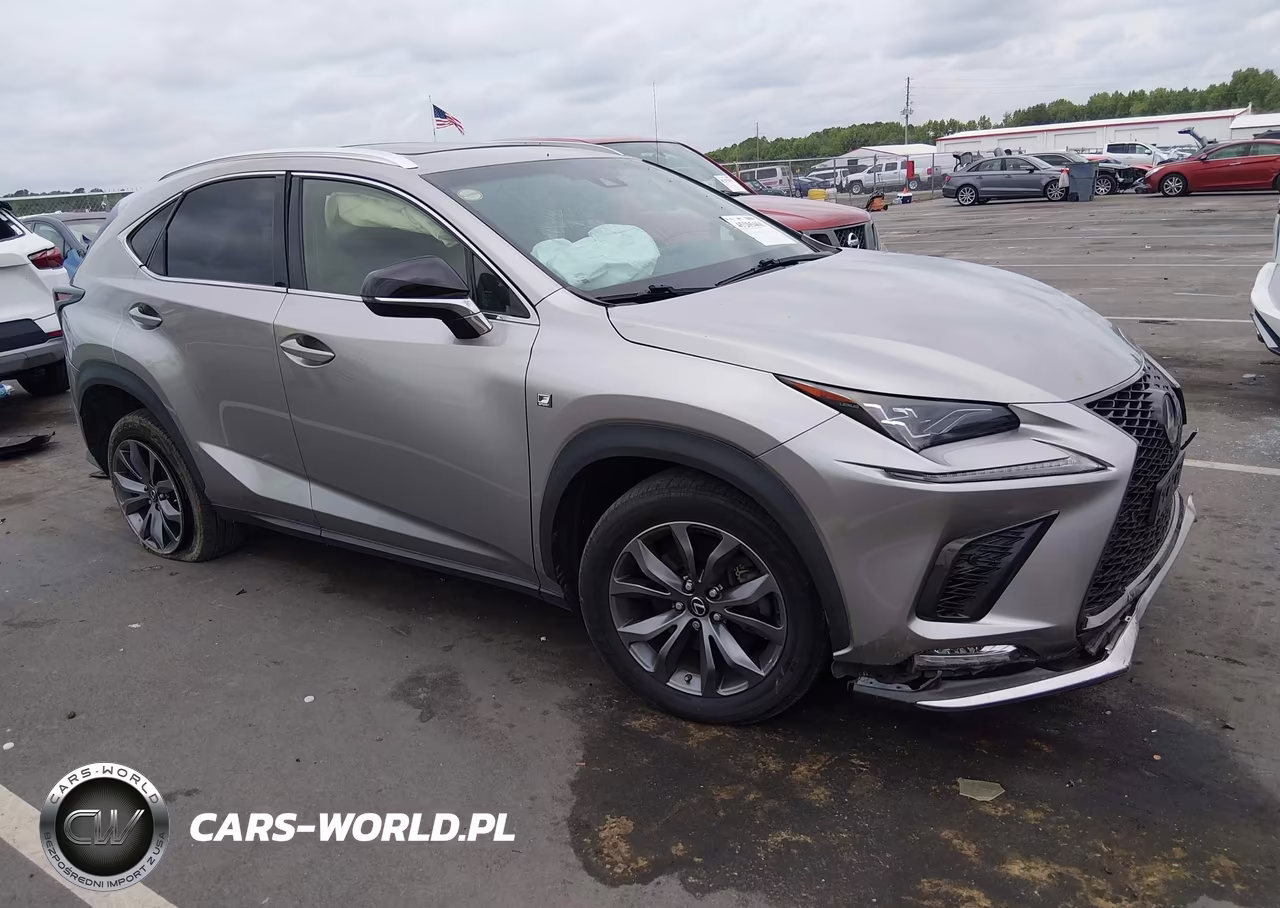 2019 Lexus Nx 300 F Sport