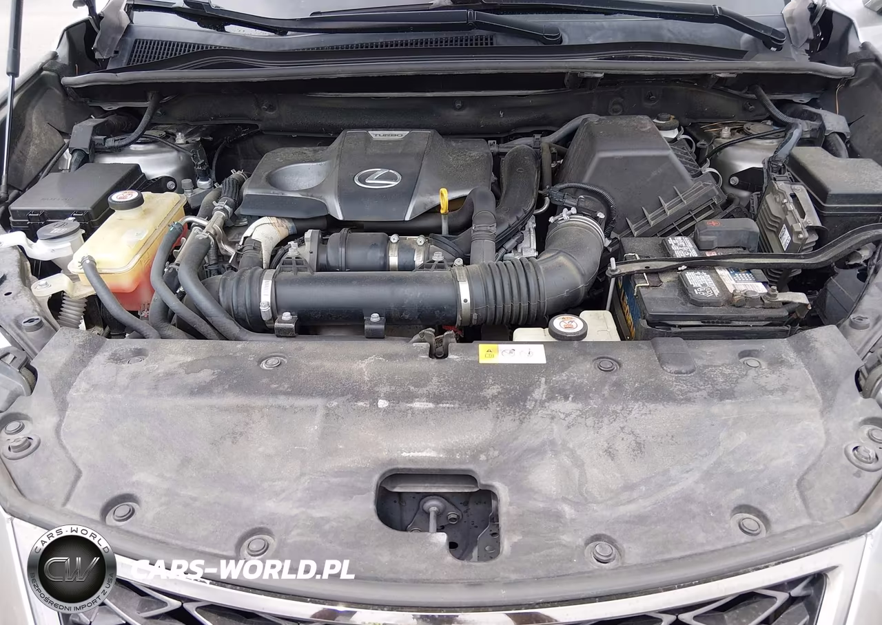 2019 Lexus Nx 300 F Sport VIN:JTJYARBZ8K2130371 - 10