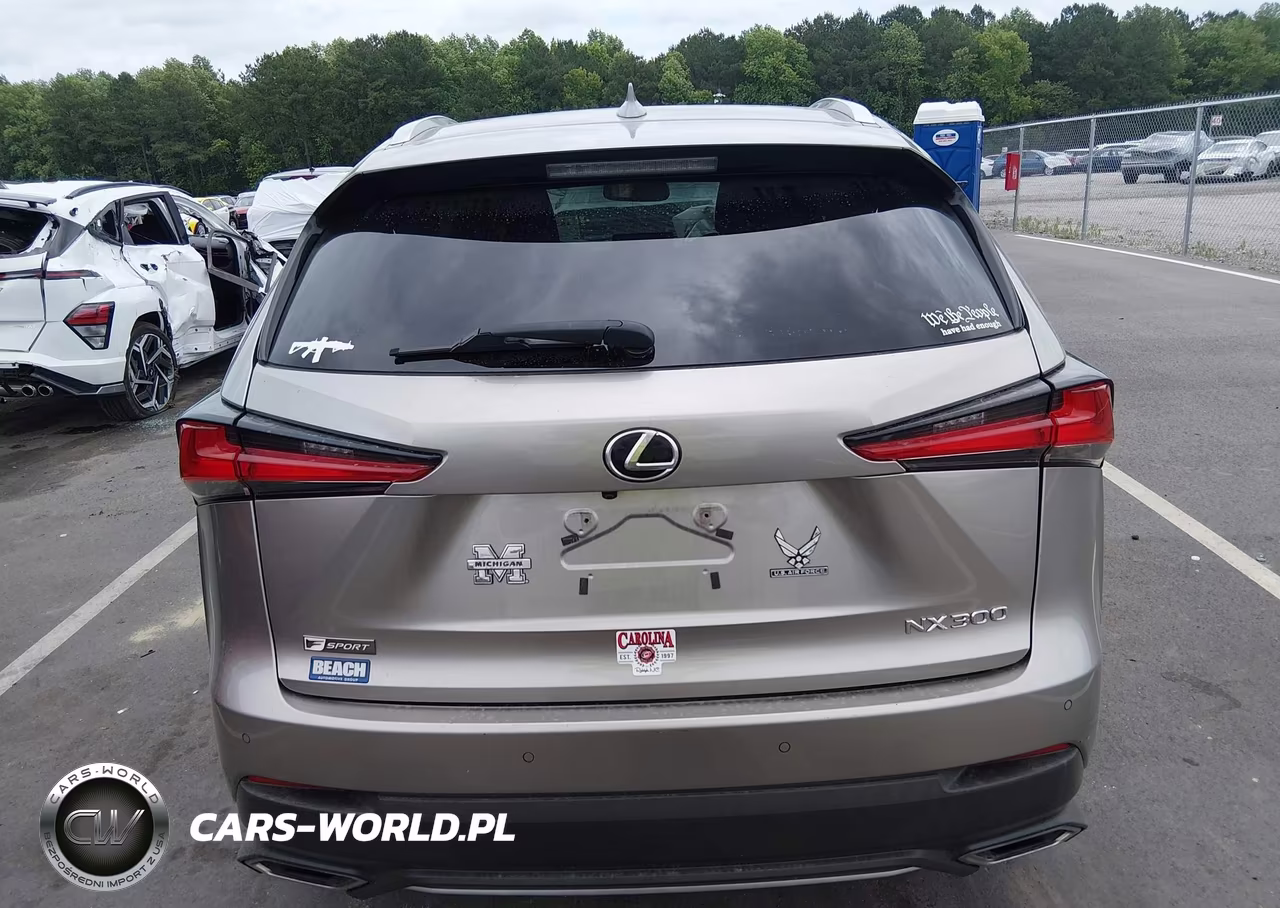 2019 Lexus Nx 300 F Sport VIN:JTJYARBZ8K2130371 - 16