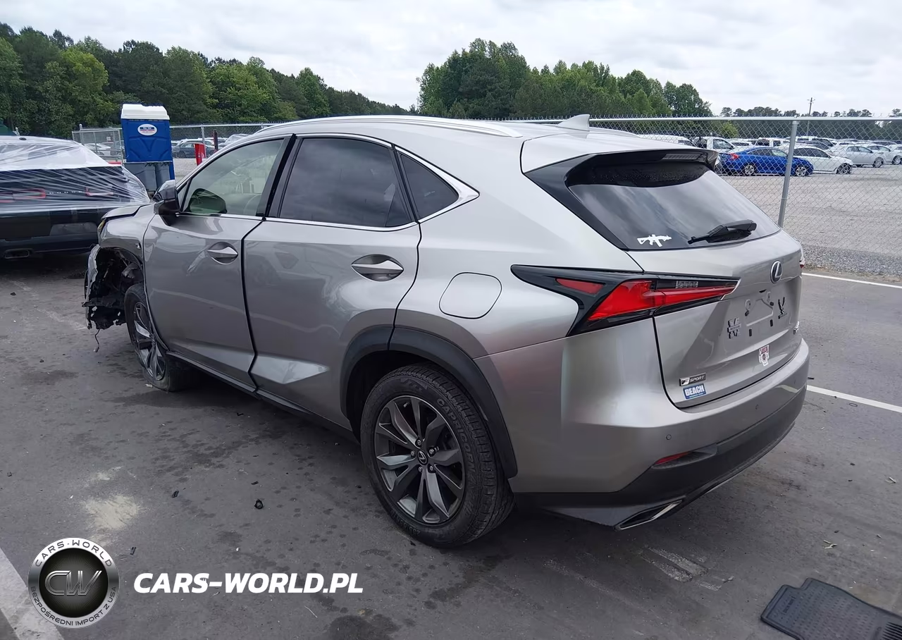 2019 Lexus Nx 300 F Sport VIN:JTJYARBZ8K2130371 - 3