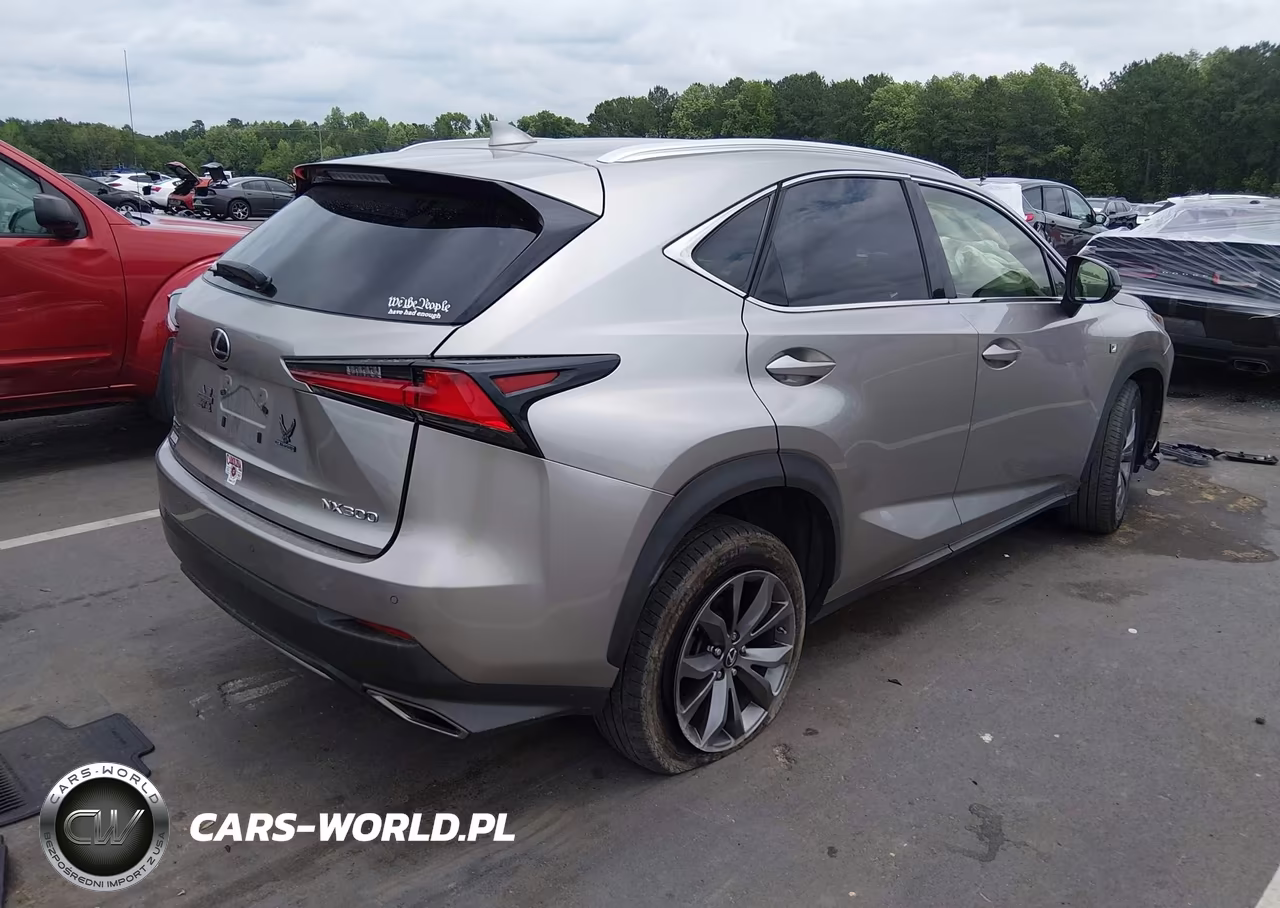 2019 Lexus Nx 300 F Sport VIN:JTJYARBZ8K2130371 - 4